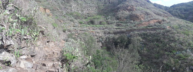 PR-TF-12 BAJAMAR A LA CRUZ DEL CARMEN, sendero en dirección a Cruz del Carmen, sendero paralelo a La Barranquera