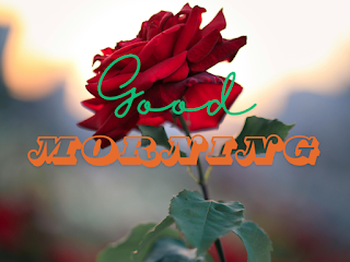 Good Morning image download, Wake up, Sunshine, Have a great day, Bright and early, Rise and shine, Greetings, Good Morning messages