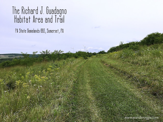 The Guadagno Trail in Somerset, PA  www.wanderingpa.com