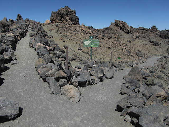 NARICES DEL TEIDE A PICO VIEJO - MIRADOR DE PICO VIEJO - ASCENSIÓN A PICO TEIDE - MIRADOR DE LA FORTALEZA  - TEIDE A MONTAÑA BLANCA, cruce de sendero número 11 La Fortaleza y sendero número 7 Montaña Blanca