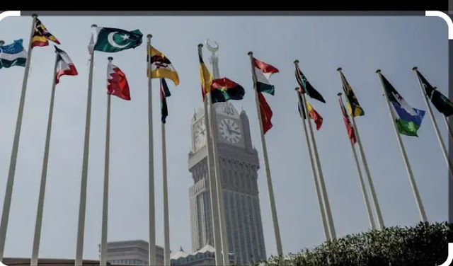 Pakistan, OIC reiterate support for Kashmiris’ right to self-determination
