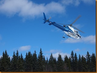 P4307754