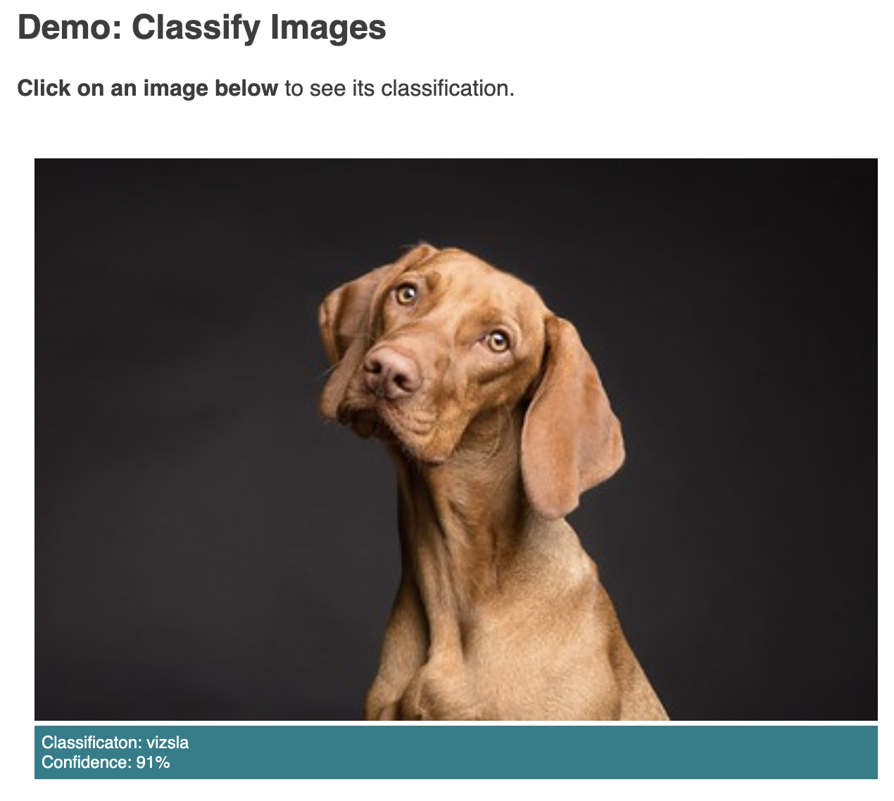 Cropped Screen grab of Mediapipe Image Classifier for web Codepen demo showing the image of a dog under text which reads Demo: Classify images Click in an image below to see its classification