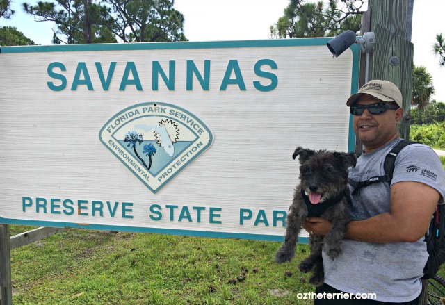 entrance savannas preserve state park in port st lucie florida