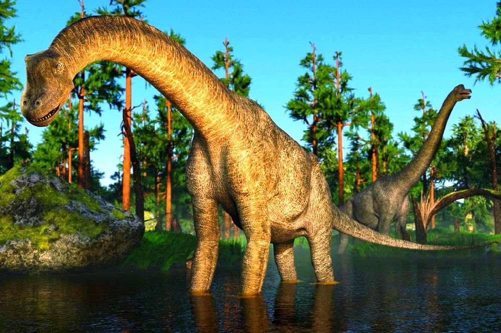 Los dinosaurios sauropodos no tenían molares
