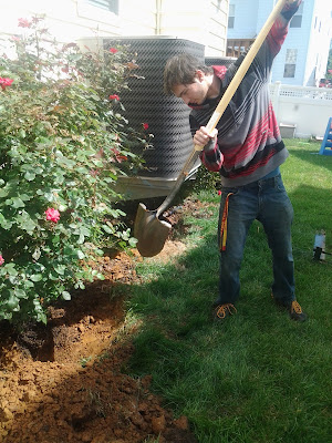 Jake digging roses