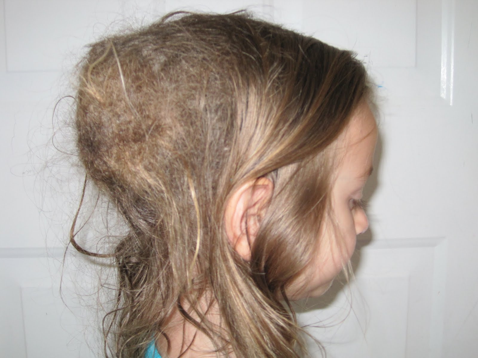 Tangled Hair Techs May 2011