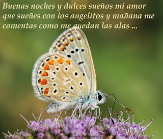 Buenas noches y dulces sueños mi amor que sueñes con los angelitos y mañana me comentas como me quedan las alas ... jeje