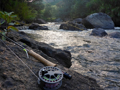 scott radian fly rod