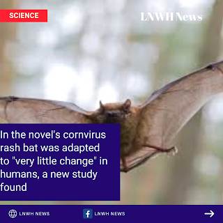cornvirus rash bat was adapted to "very little change" in humans,The study, published in the journal PLoS Biology, evaluated several thousand hierarchical genomes of the SARC-COVI-2 rna virus