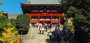 鶴岡八幡宮でも紅葉が楽しめるんだ〜(゜∀゜