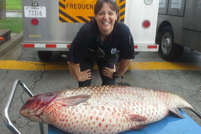 World Record Carp Fishing