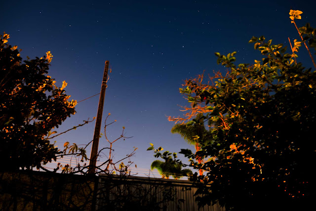 Entre árvores e com um muro, foto noturna com estrelas no céu, em Curitiba