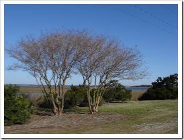 DSC05197