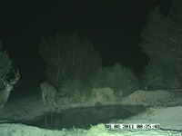 PIC0564