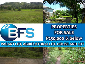 Looking for properties to buy or for investment? Here are properties for sale from Bayan Financial Services (BFS). They have properties that are affordable. In this post, we sort out properties from P250,000 and below. You can choose from house and lot, vacant lot or an agricultural lot for sale this month of March 2017.