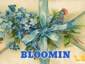 Bloomin