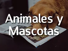 Animales y Mascotas Roku