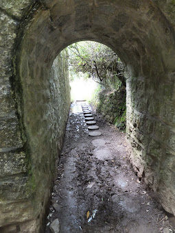 STepping stones through a quagmire behind Polgwidden Cove