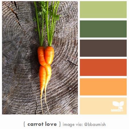 http://design-seeds.com/home/entry/carrot-love