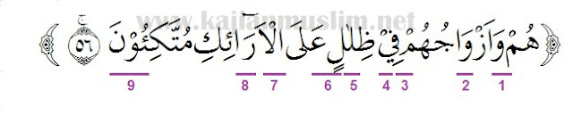 Hukum Tajwid Surat Yasin Ayat 56