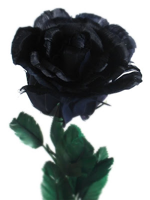 Black Roses