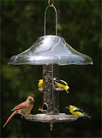 Bird Seed Tray