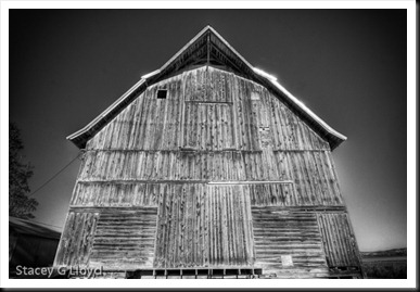 Blog_20100825_1