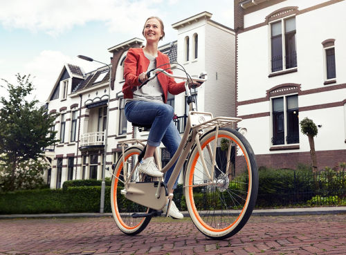 Gazelle PuurNL transportfiets