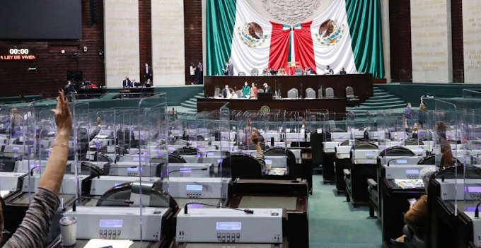 Esta es la lista de solicitudes de licencia de diputados federales