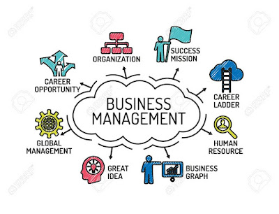How to develop a new business management system