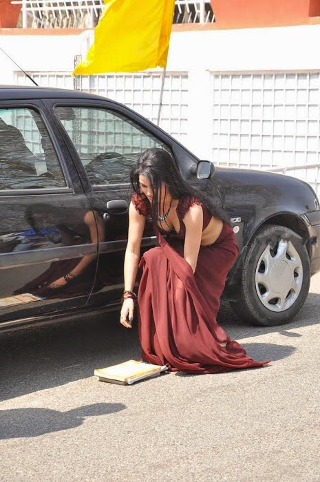 South Indian Actress Kavya Hot Photos in Saree