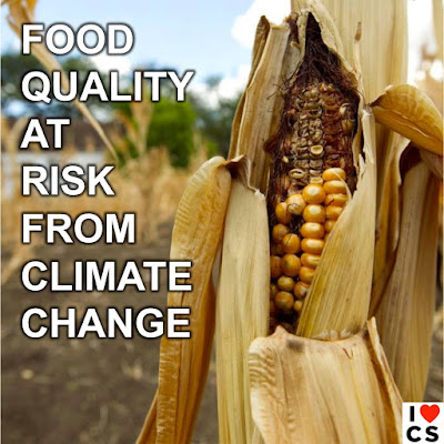 Poster of the Week - Food Quality at Risk from Climate Change (Credit: www.facebook.com/iheartcomsci)