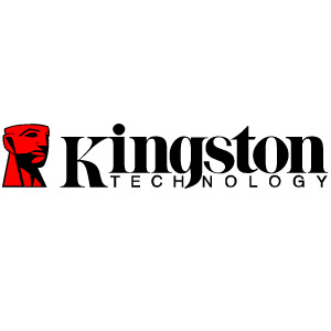 Kingston logo vector