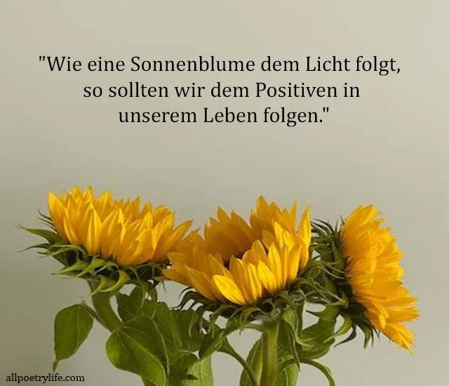 sonnenblume sprüche, spruch sonnenblume, sonnenblume spruch, kurze sonnenblumen sprüche, sonnenblumen sprüche kurz, sprüche sonnenblume, sonnenblume zitat, zitat sonnenblume, lebensweisheit kurze sonnenblumen sprüche, schöne sprüche sonnenblumen zitate sprüche, liebe sonnenblumen sprüche, gedicht sonnenblumen sprüche, sprüche mit sonnenblumen, sonnenblume spruch kurz, sonnenblume spruch liebe, spruch mit sonnenblumen, sprüche über sonnenblumen, weisheiten spruch sonnenblume, sonnenblume liebe spruch, sonnenblumen gedichte sprüche, sonnenblume gedicht spruch, sonnenblumen zitate sprüche, sprüche zu sonnenblumen, gedicht sonnenblume geburtstag, spruch über sonnenblumen, sonnenblumenspruch, sonnenblume sprüche weisheiten, sonnenblume sprüche zitate, spruch zur sonnenblume, sonnenblume gedichte sprüche, spruch zu sonnenblumen, sonnenblume mit spruch, zitate über sonnenblumen, sprüche zur sonnenblume, sonnenblume spruch zitat, spruch mit sonnenblume, schöne sprüche sonnenblume,