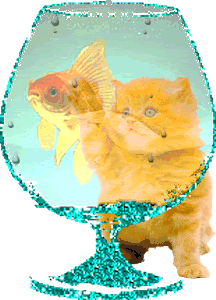 peces (15)