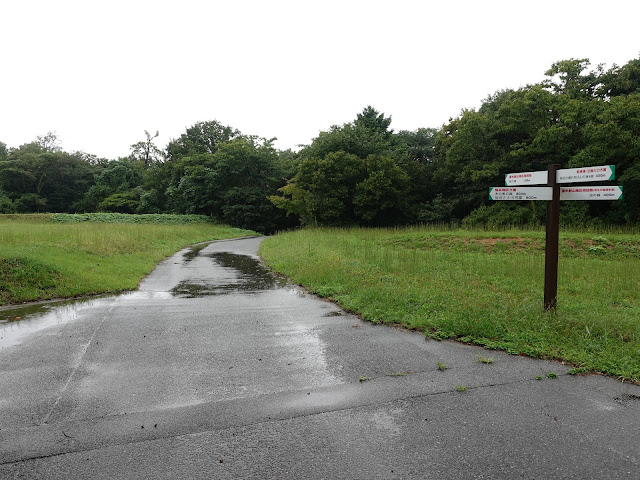 弥生の森の遊歩道