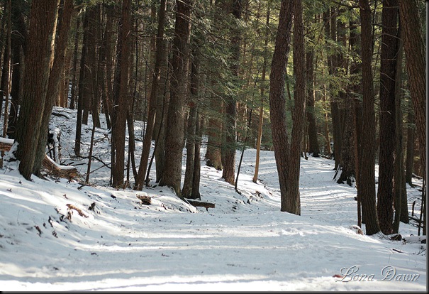 OMC_UpperTrail_Dec