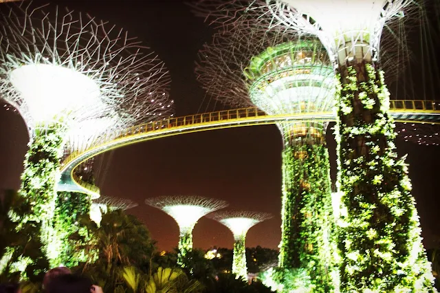 Foto Garden by the Bay Singapore