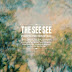 The See See - Fountayne Mountain (2012) review