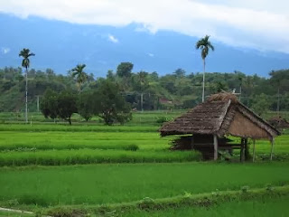 Keindaha alam indonesia. foto bentang alam  keasrian asli