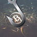 Bitcoin Wallet "Phishing" Attacks Are On The Rise While Bitcoin Is Going To Lick $17,000