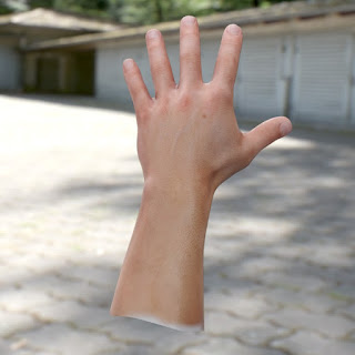 3d model male hand