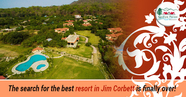 Best Resort In Jim Corbett