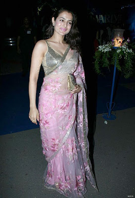 Amisha patel saree