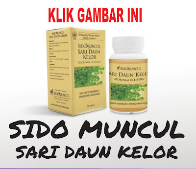 sido-muncul-sari-daun-kelor