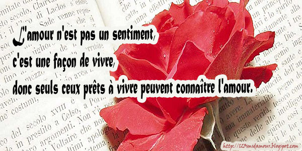 petit citation d amour