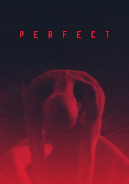 [HD] Perfect 2019 Film Complet Gratuit En Ligne