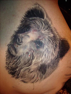 bear tattoo