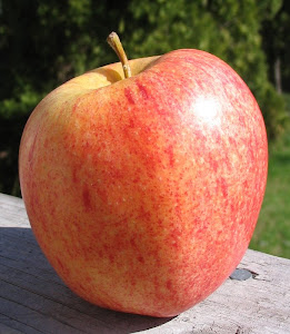 Gala apple